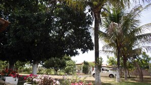 Un jardín con palmeras, plantas en flor y un coche estacionado.