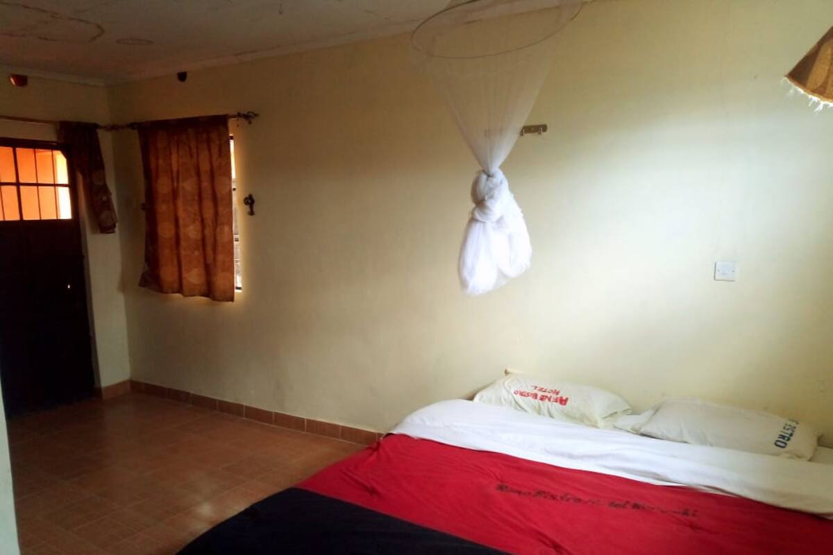 A room with a bed, a curtain, a mosquito net, and a door.