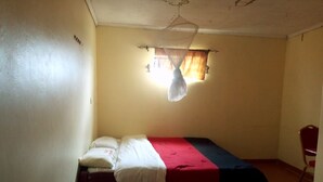 A small, single-bed room with a mosquito net above the bed, a chair, and a window with curtains. - Rene Bistro Hotel (Nanyuki)
