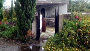 A small, rustic building with a concrete exterior and a metal door, surrounded by lush greenery and flowering plants. - Albizia Club Nakuru (Sobea)