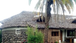 A rustic stone house with a thatched roof, surrounded by lush greenery and a small pond. - Albizia Club Nakuru (Sobea)