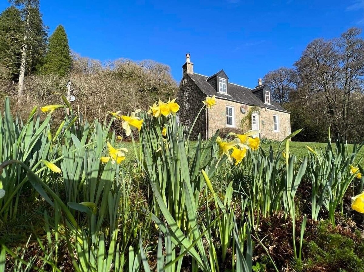 Image de profil de l’hôte