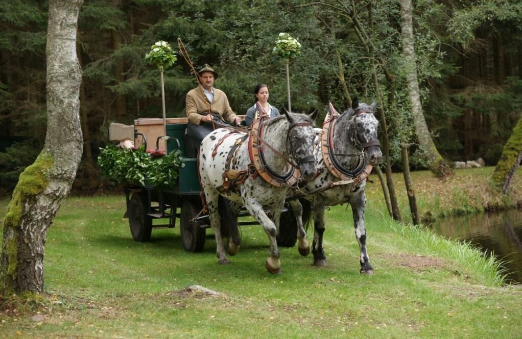 Reitstall Inghofer (Heidenreichstein)-Kutschenfahrt_1