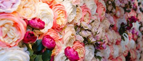 A wall covered with a variety of roses in different colors.
