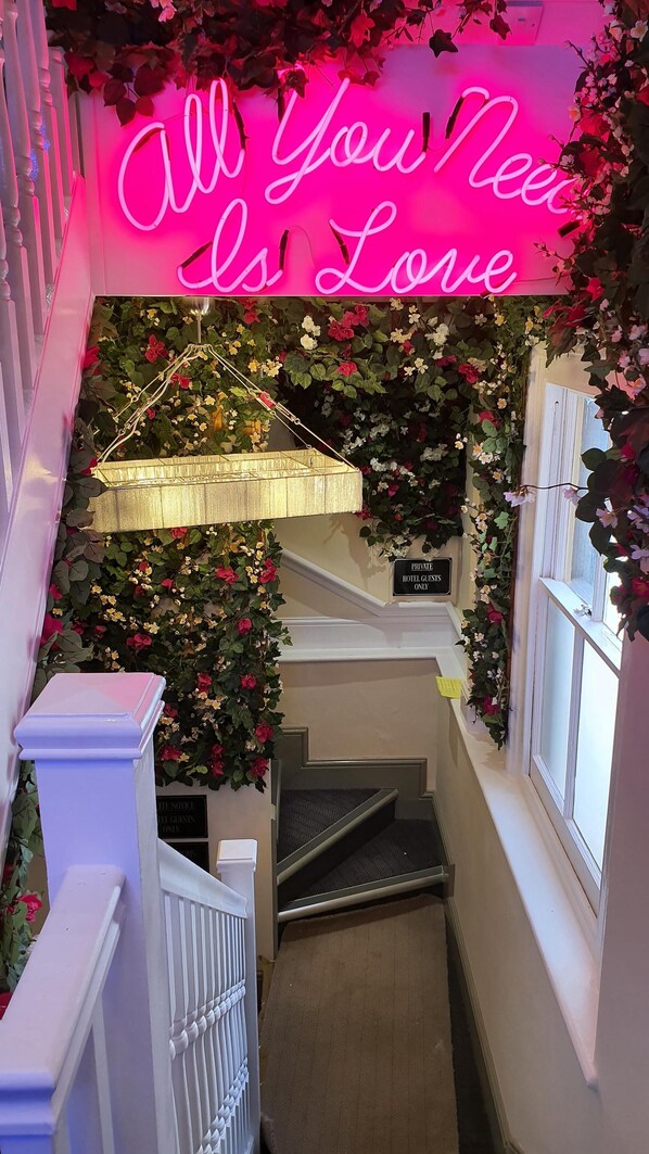 Interior - The Griffin Belle Hotel Vauxhall (London)