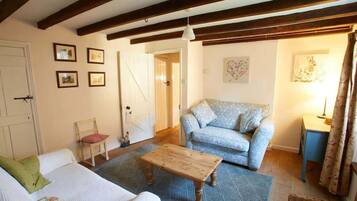 Télévision, cheminée, espaces bureaux