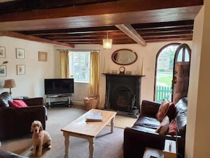 Ein gemütliches Wohnzimmer mit Kamin, Ledersofas, einem Fernseher und einem Hund.