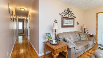 TV, fireplace, DVD player, books