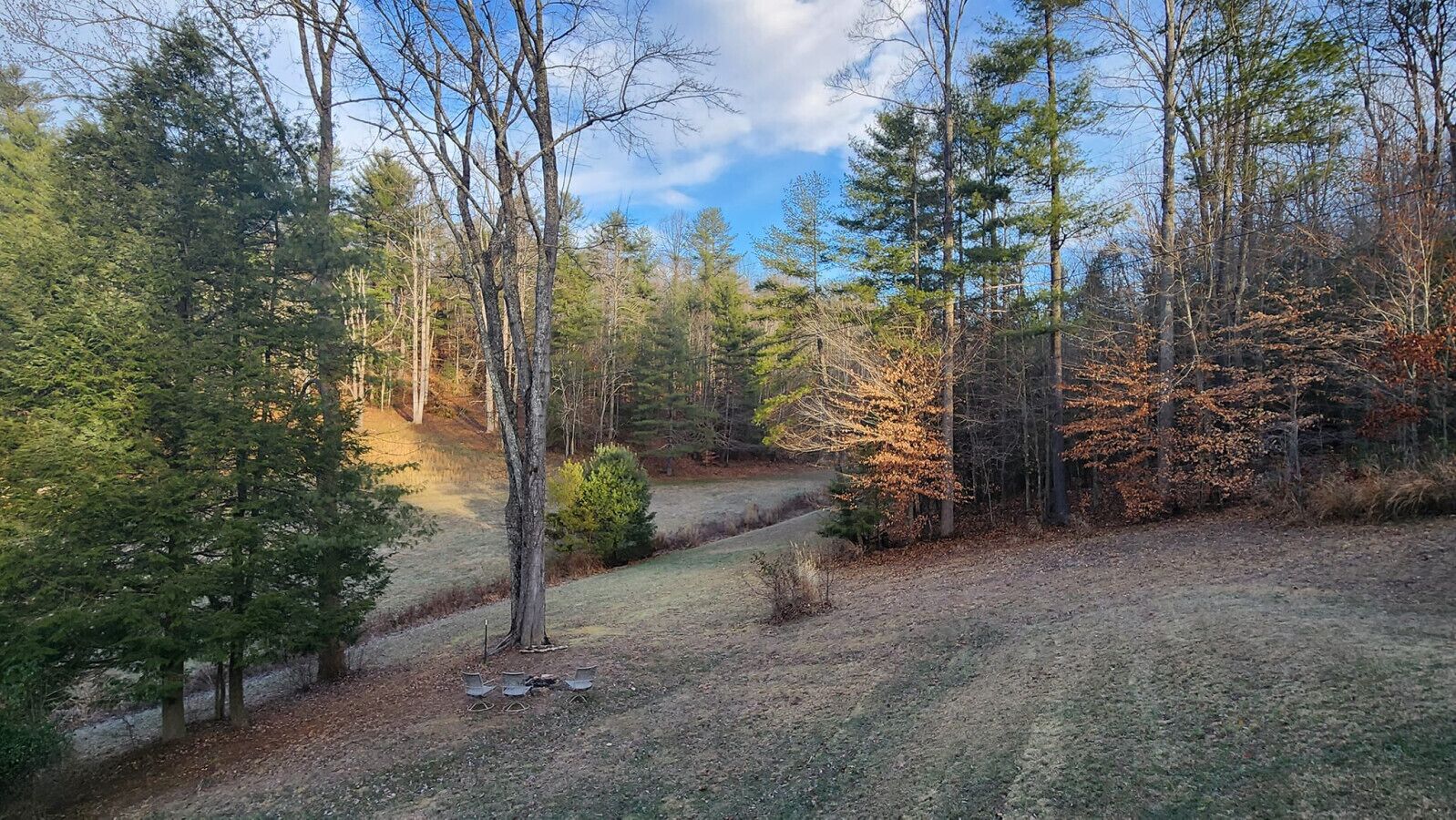 A forested area with a dirt path and metal chairs.