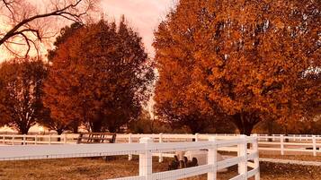 Overnatningsstedets område