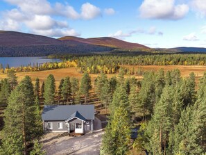 A house with a metal roof, surrounded by a forest and a lake, with mountains in the background.