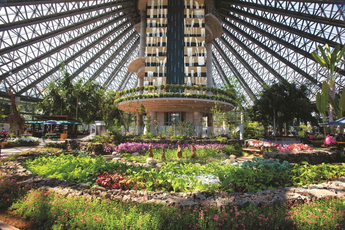 land view from property