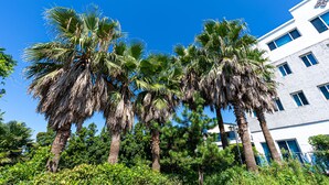 A building with multiple floors and a modern architectural style, surrounded by palm trees and greenery. - Hotel The Grang Jungmun (Seogwipo)