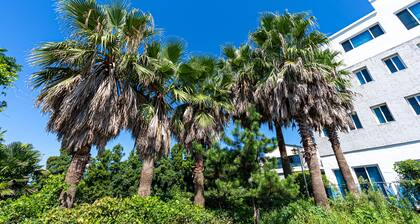 Hotel The Grang Jungmun