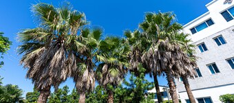 Hotel The Grang Jungmun