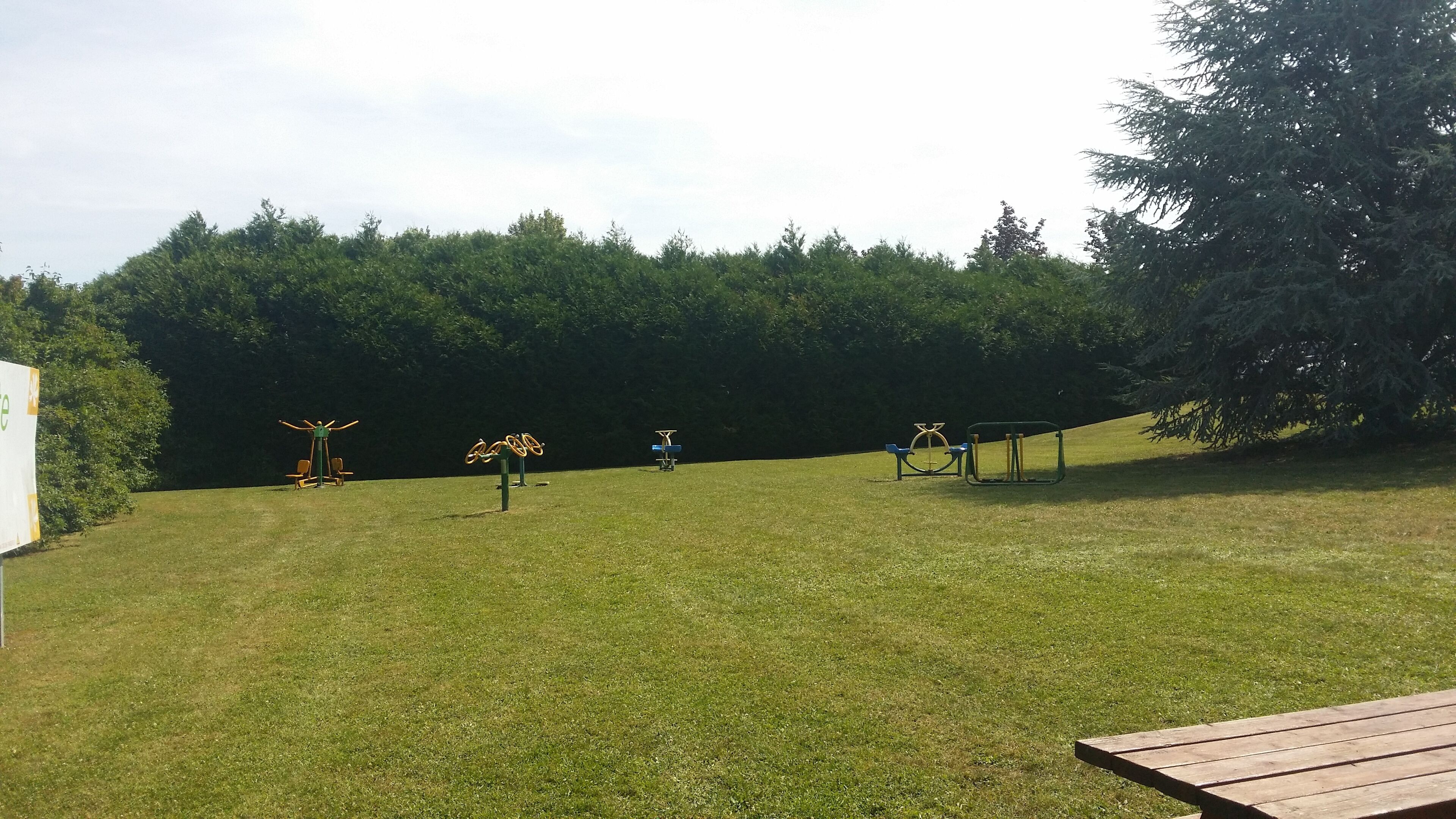A grassy outdoor area with exercise equipment and a picnic table.