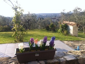 Parco della struttura