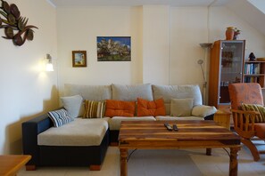 TV, DVD player, books