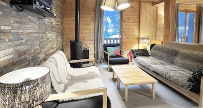 LES 2 ALPES / VENOSC : L'Aigle ★ Shared SAUNA-SPA-HAMMAM-PISCINE ★ Terrace