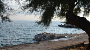 Ein Strand mit felsigem Ufer, einem Baum und ruhigem Wasser.