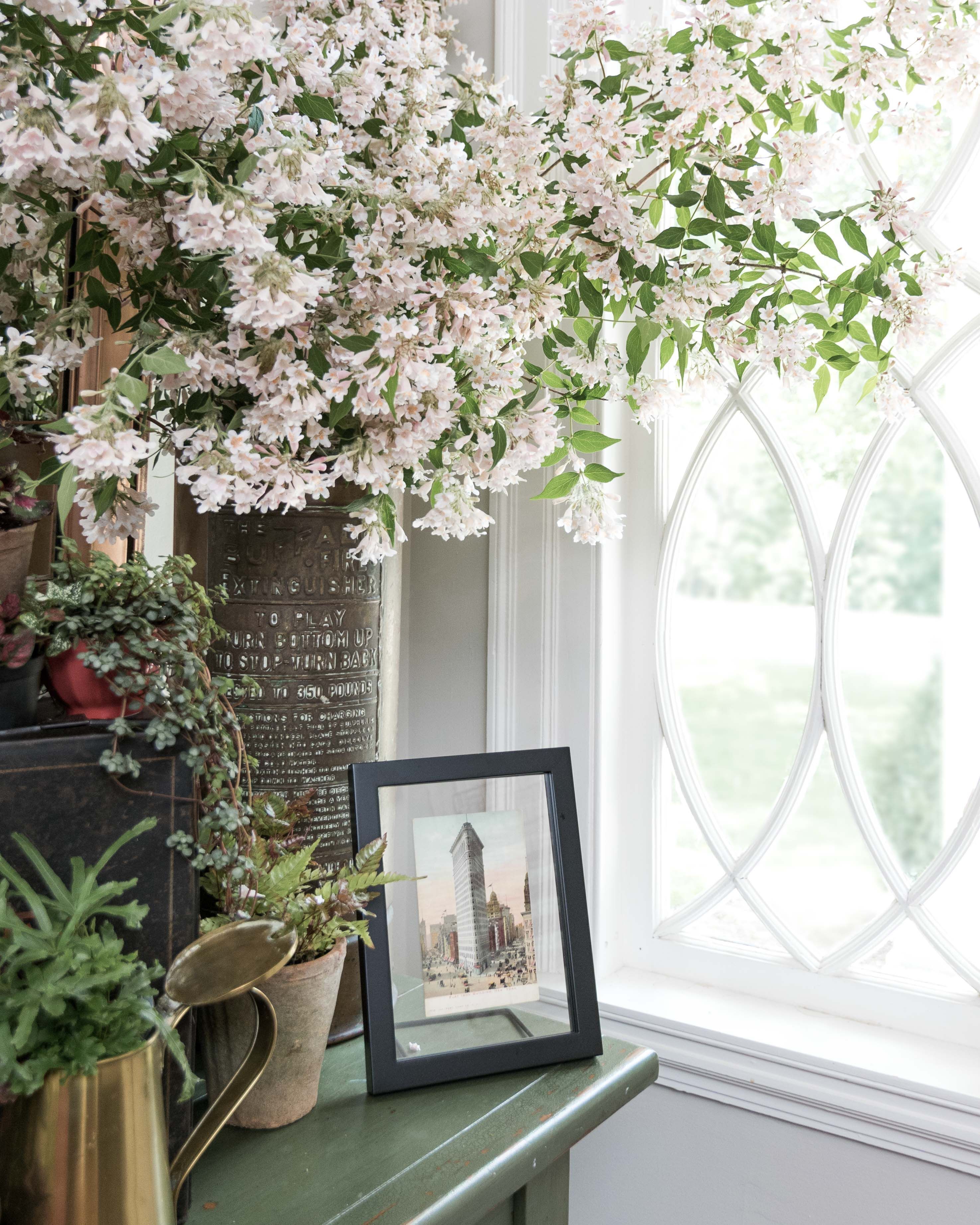 A window with a view of a cityscape, a framed picture on a shelf, and a wall with a plaque and potted plants.