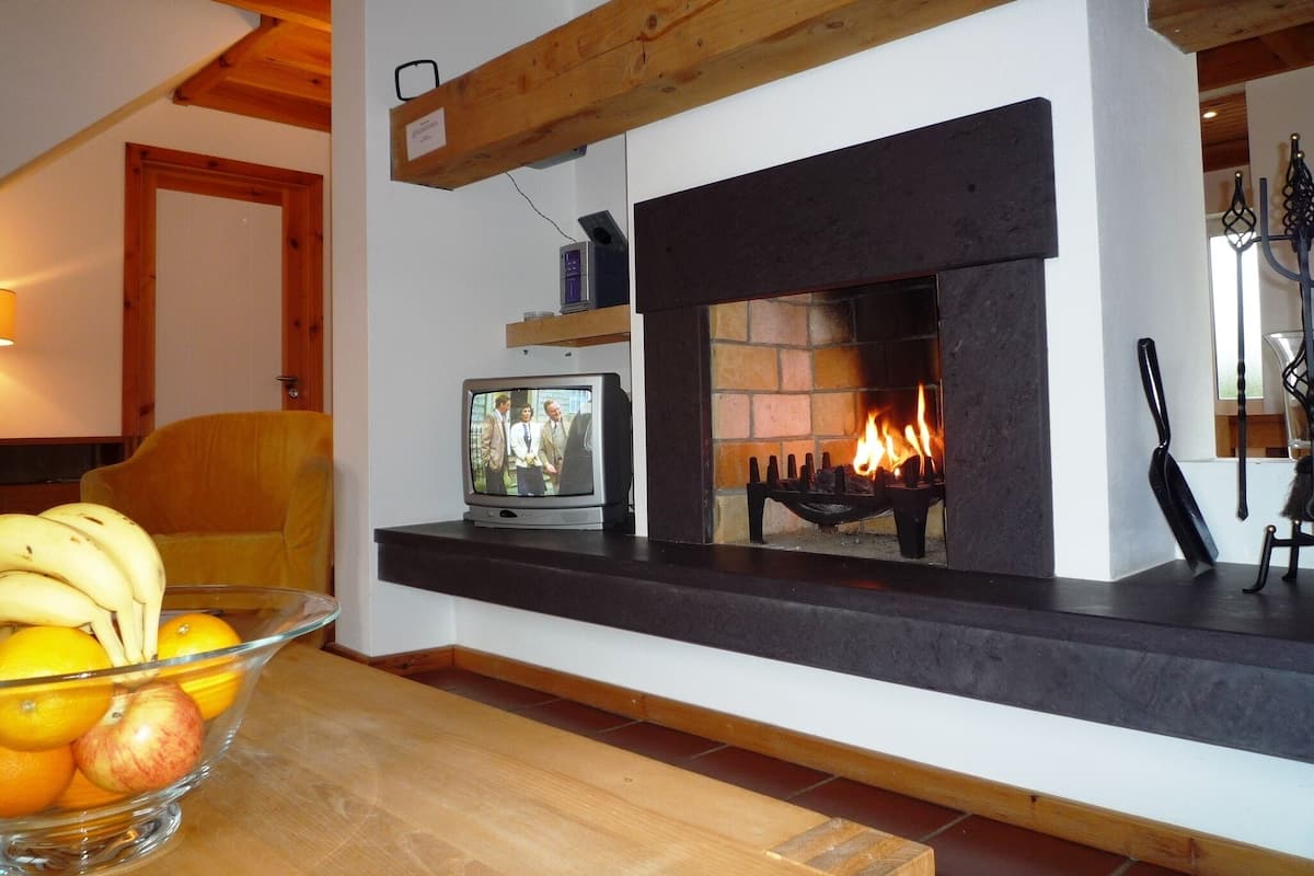 TV, fireplace