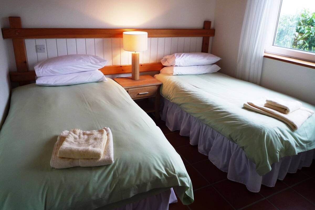 Une chambre d’hôtel avec deux lits simples, chacun équipé d’un oreiller, d’une table de chevet avec une lampe et d’une fenêtre avec des rideaux.