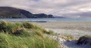 A beach with grassy dunes and rocky cliffs in the background.