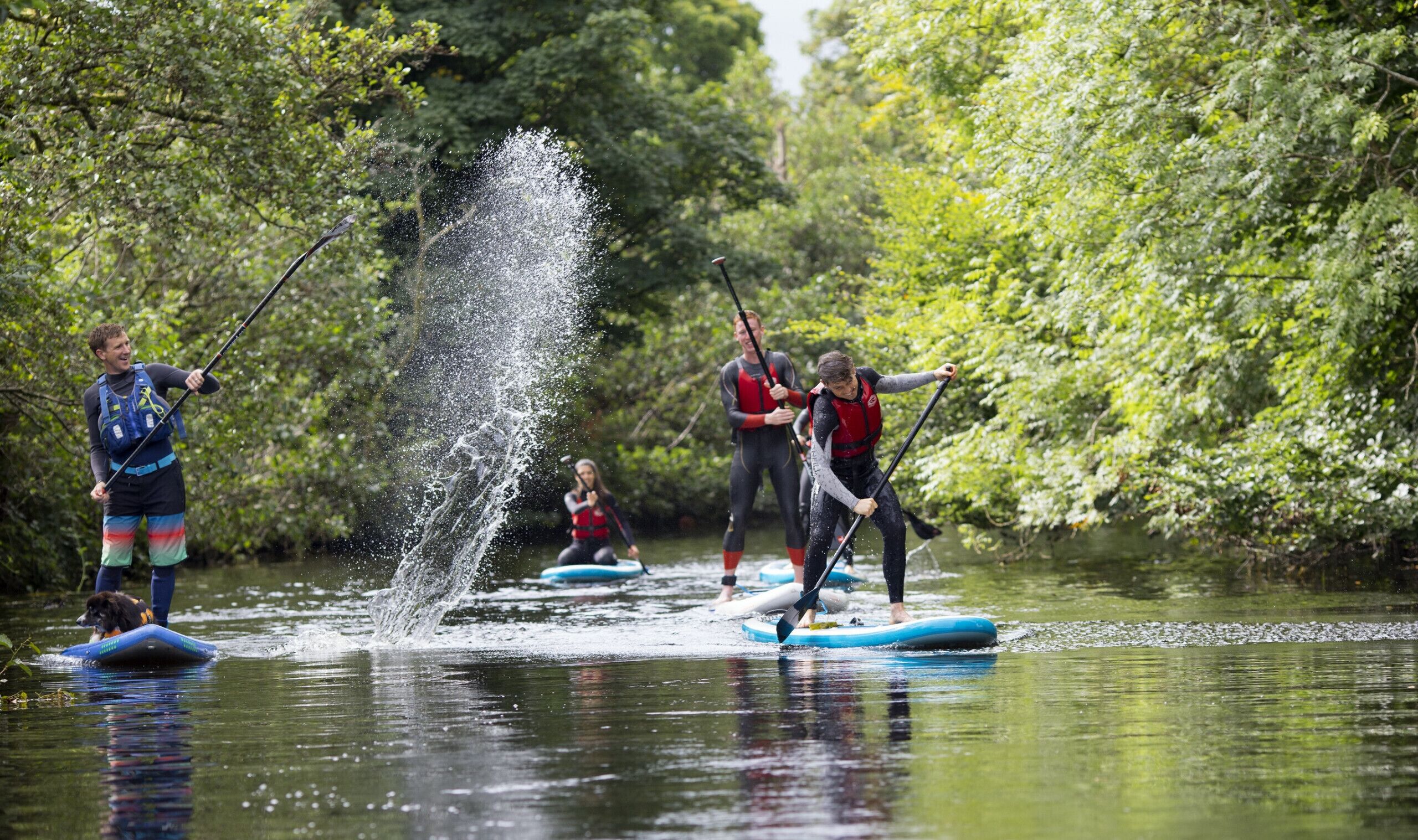 People on paddleboards in a river surrounded by trees.