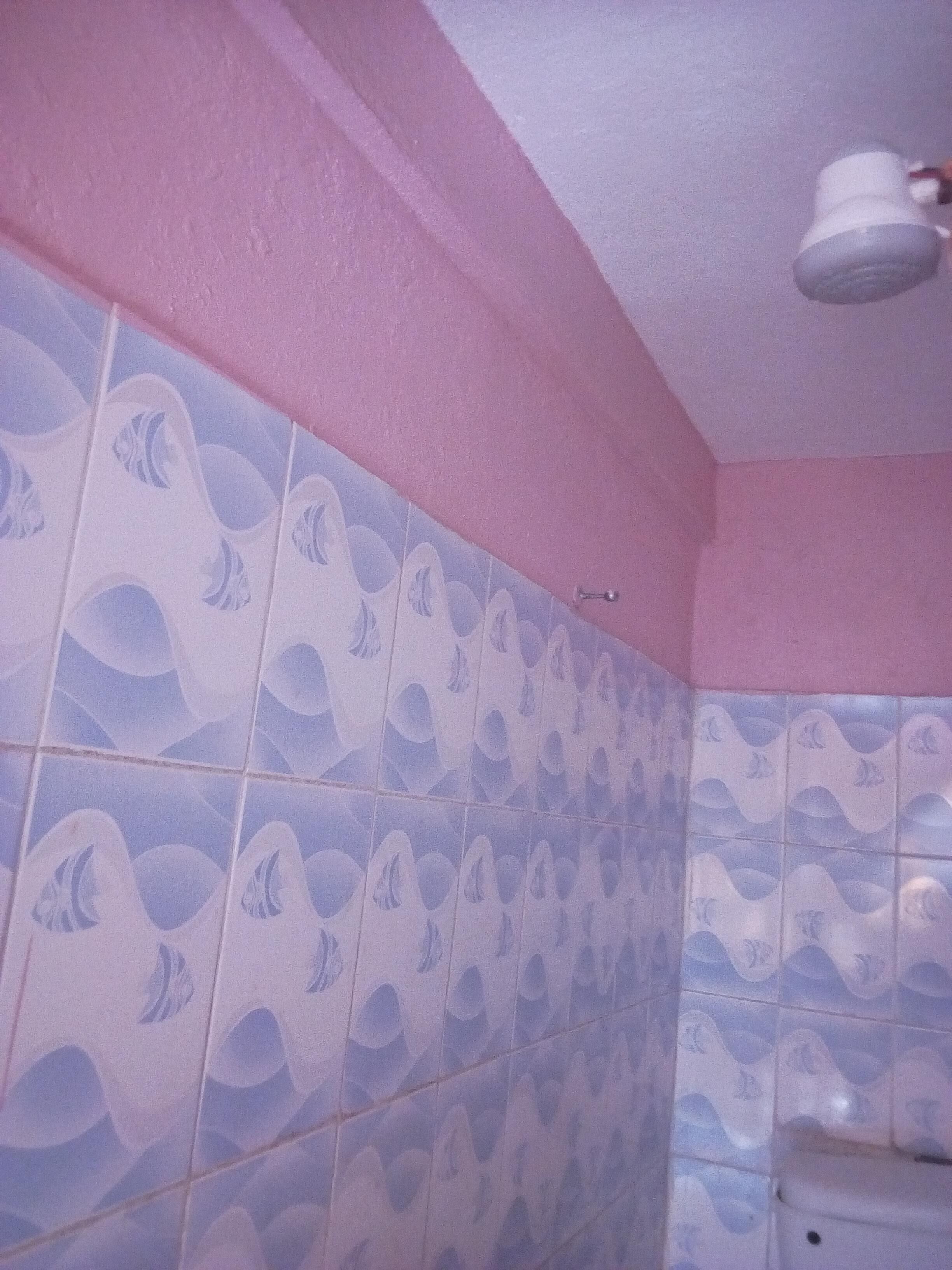 Single Room | Bathroom shower