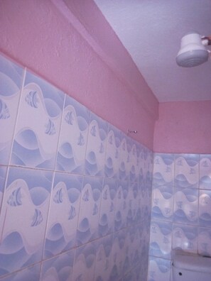 Chambre Simple | Douche de la salle de bain