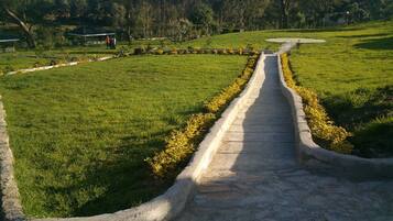Un sendero serpenteante en un parque, flanqueado por plantas con flores amarillas.