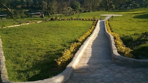 Jardim