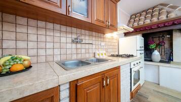 Fridge, oven, dishwasher, cookware/dishes/utensils