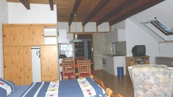 1 slaapkamer, wifi, beddengoed, rolstoeltoegankelijk