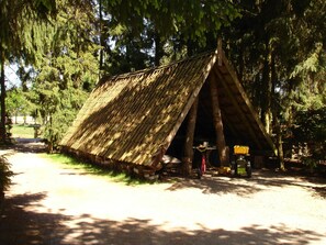 Botón de imagen sin clasificar, 5 de 15