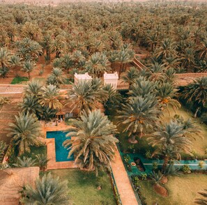 Garden - Dar Hnini (Oulad Yahia Lagraire)