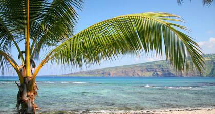 Ainamalu 29 At Waikoloa Beach Resort 3 Bedroom Home by RedAwning