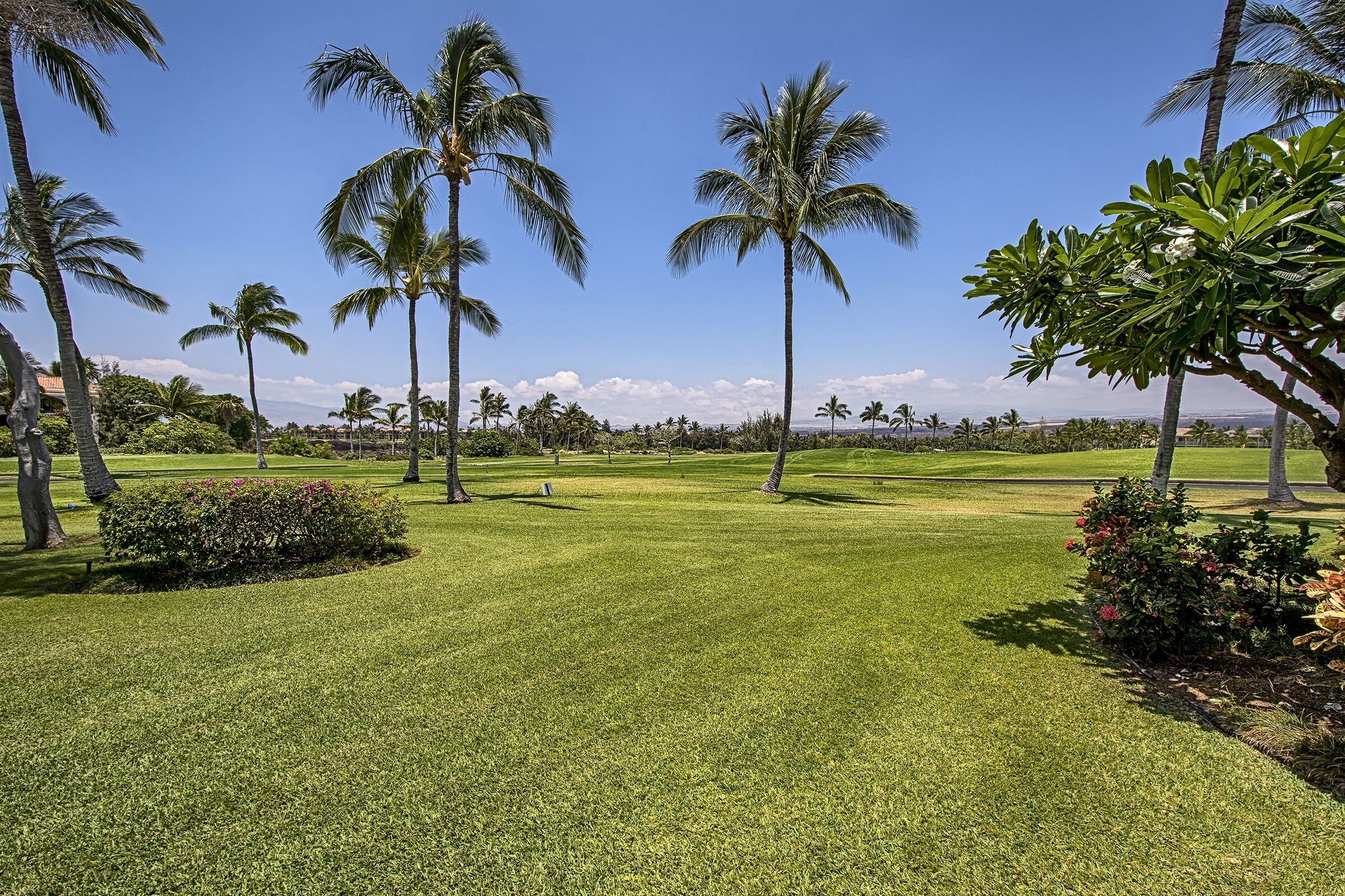 Un campo de golf bien cuidado con césped verde exuberante, palmeras y un cielo azul despejado.