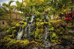Property grounds - Enjoy Comfort in Wailea Spacious 2BD/2BA Condo with Garden Views (Wailea)