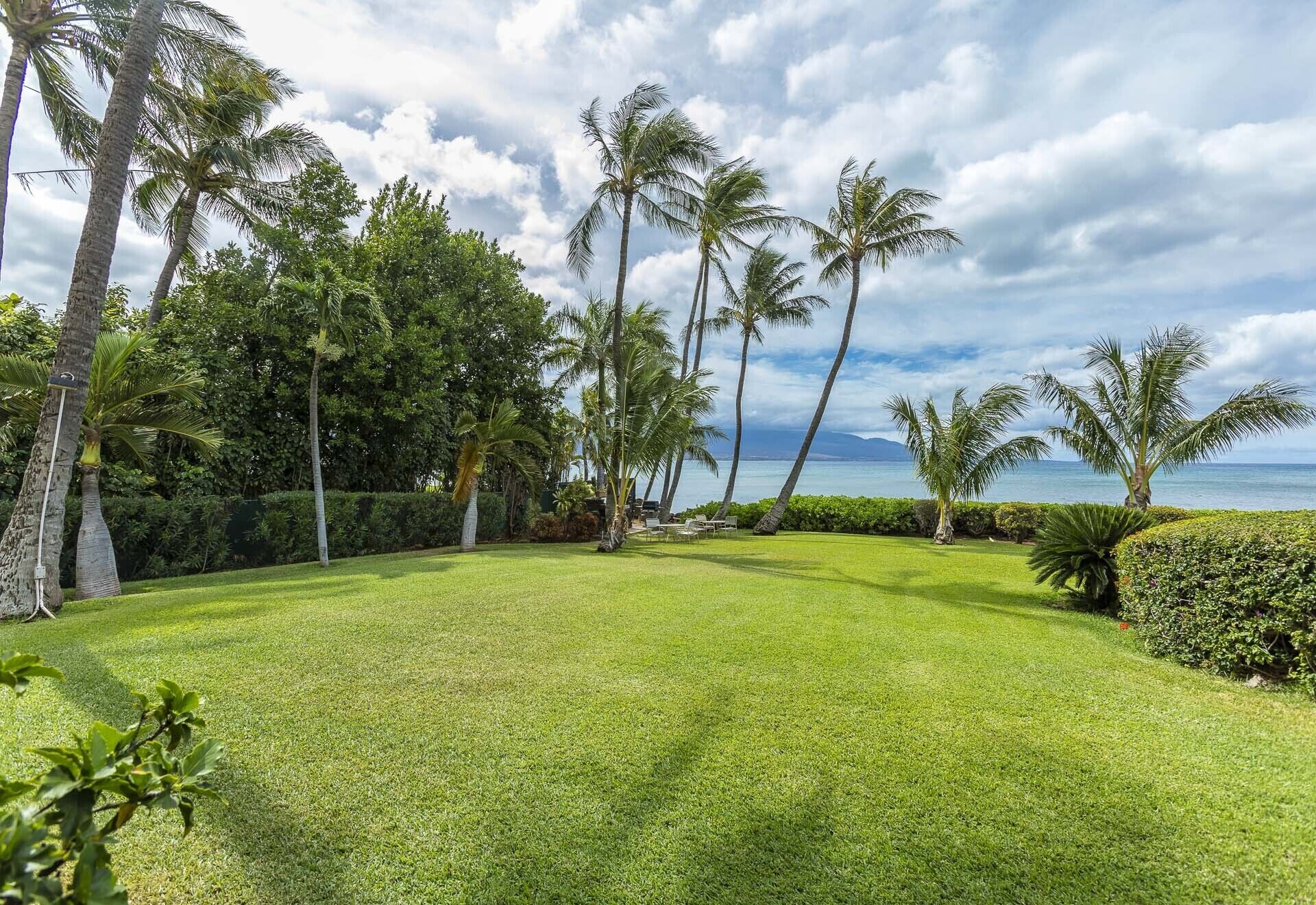 A well-maintained lawn with palm trees and a view of the ocean.