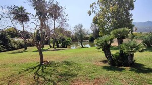 A grassy area with trees and a pond. - Magnificent Depandance with Pool in Villa 900 mt from the beach (San Felice Circeo)