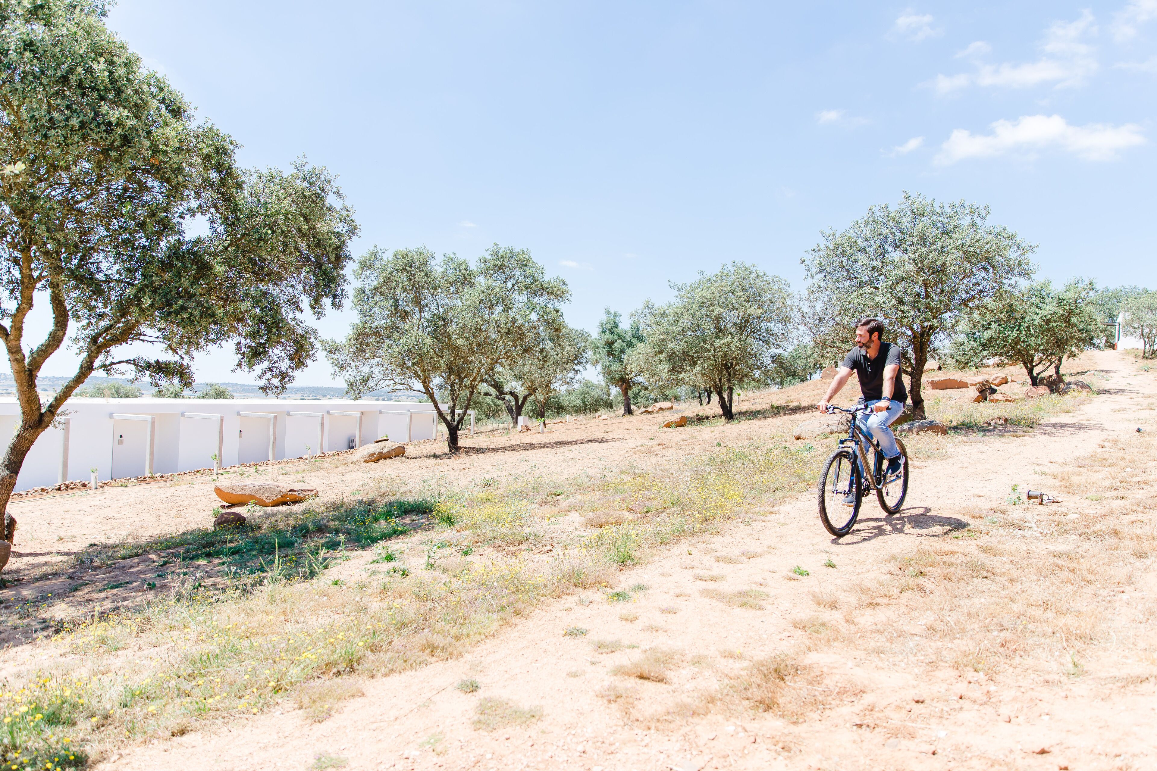 Una persona pedaleando en bicicleta por un camino de tierra, con olivos y un edificio blanco al fondo.