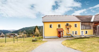 Alluring Holiday Home in Sandl near River