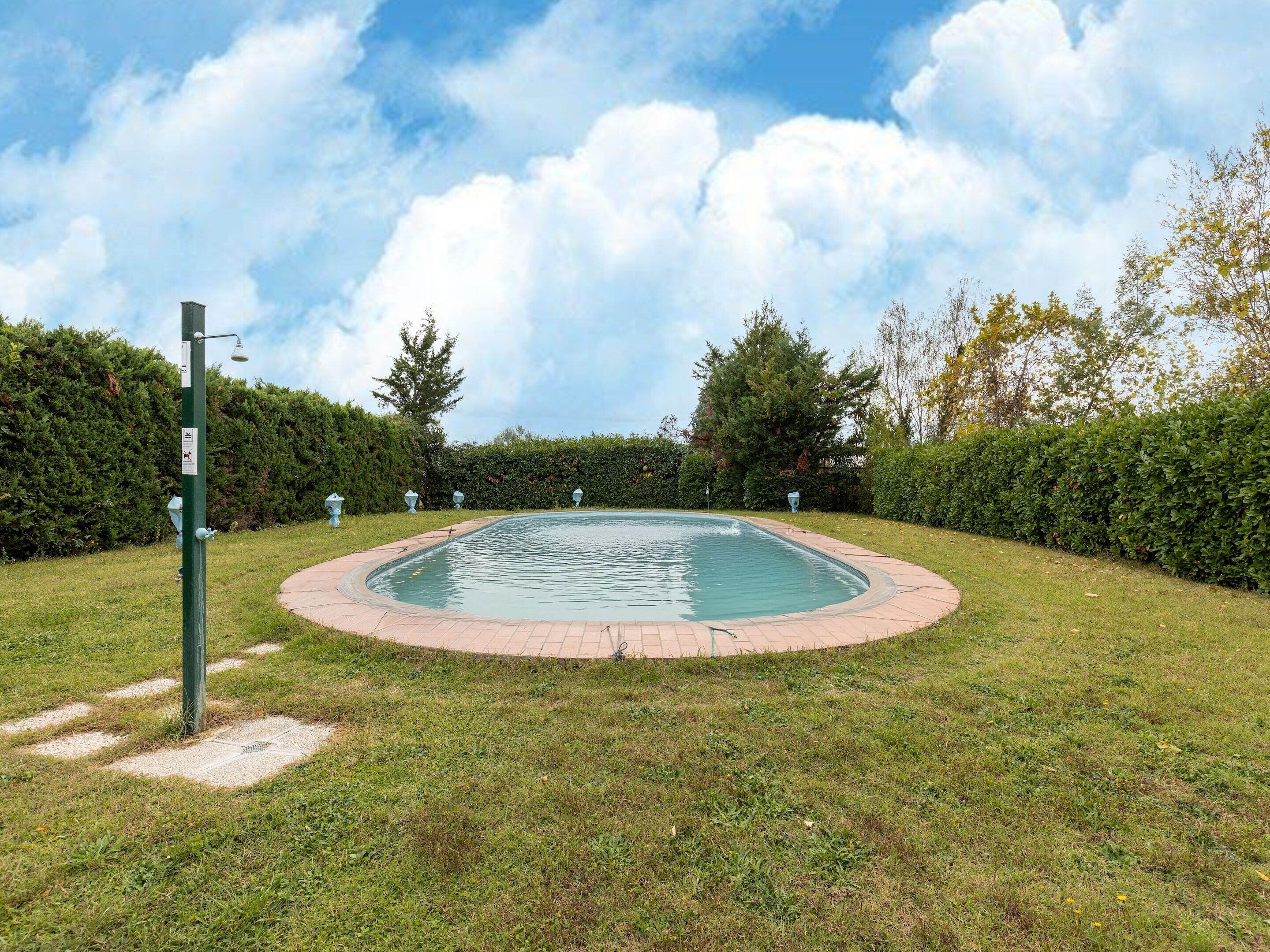 A circular swimming pool with a paved edge, surrounded by a grassy area and hedges.