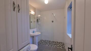 Shower, hair dryer, towels