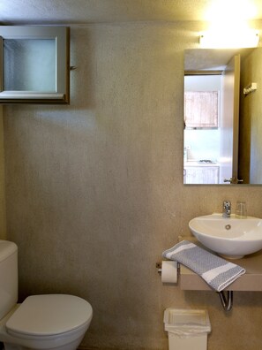 Shower, hair dryer, towels, soap - Aggelos Studio (Skiathos)