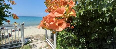 Apartment | Exterior detail