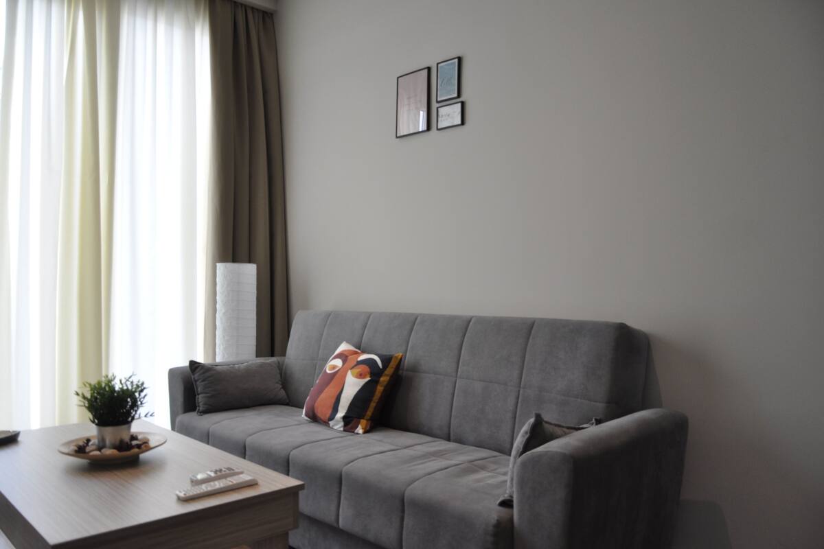 A modern living room with a grey sofa, a small table with a plant, and a remote control.