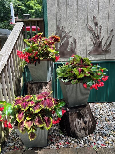 Hot Tub, Couples Hideaway, Private, Coziness, Country, Birds,  Wildlife, Quiet